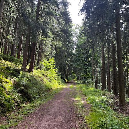 Gaestehaus Im Erzgebirge Zwönitz Kültér fotó