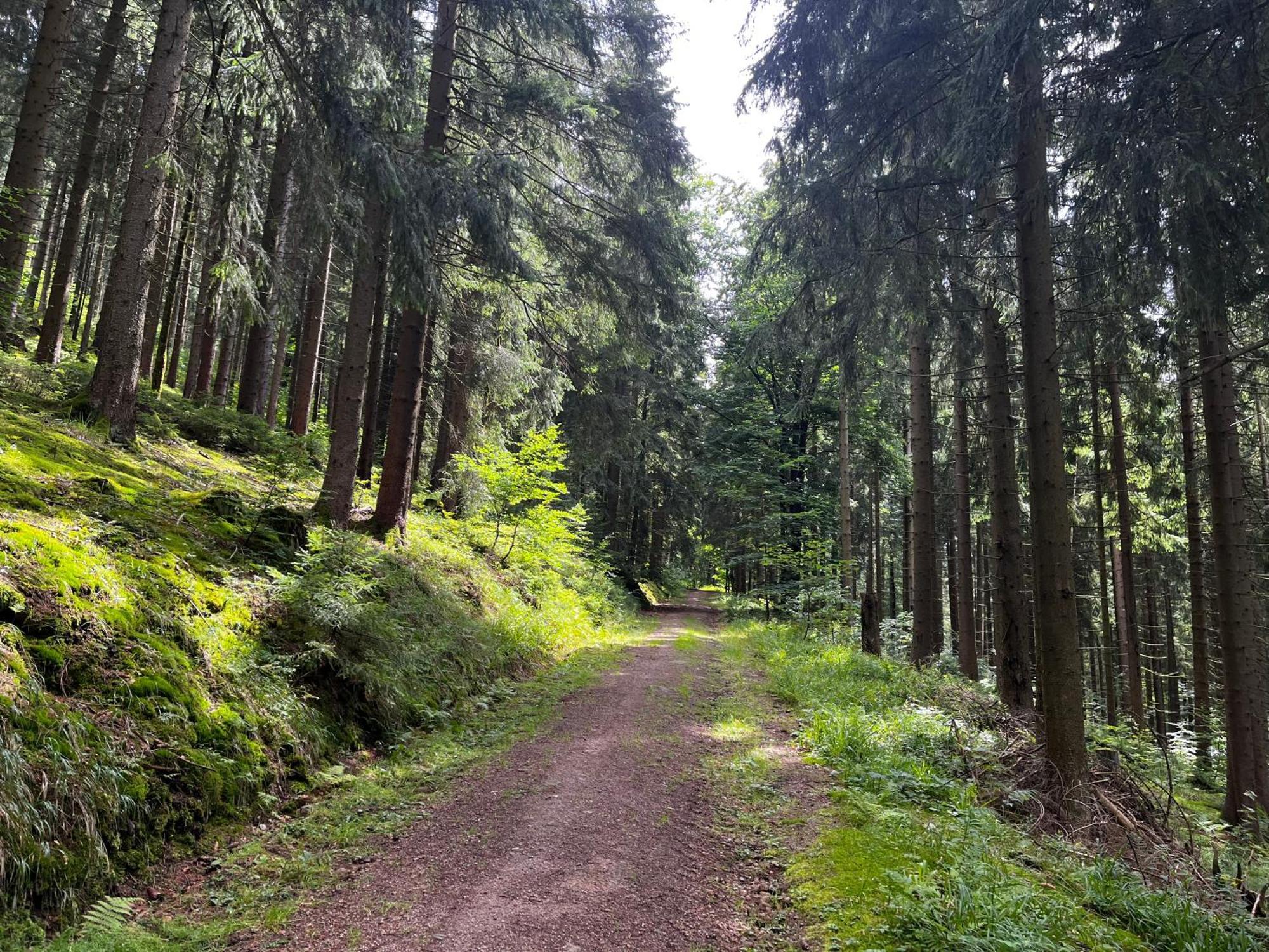 Gaestehaus Im Erzgebirge Zwönitz Kültér fotó